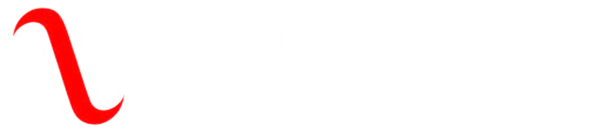 Napp Motorsports logo